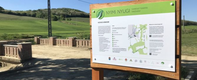 imagine-green-nyimi-nyugi-01